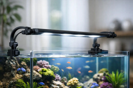 Aquarium Mounts That Keep Lighting Secure